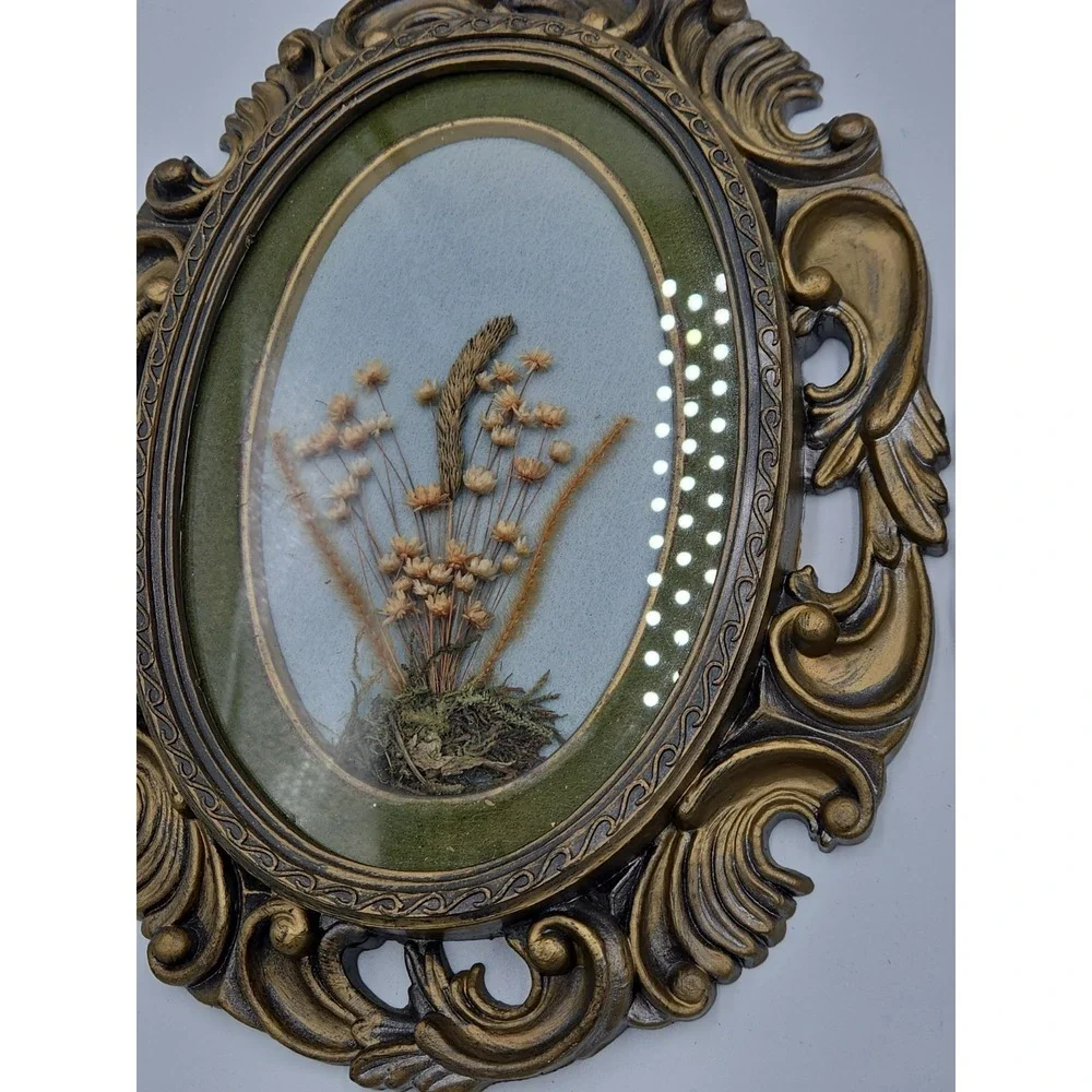 Vintage Pressed Flower Art Set Gold Ornate Round Frames Botanical Wall Decor